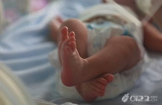 厦门元旦新增至少30名二孩 首个小宝宝是个大嗓门 
