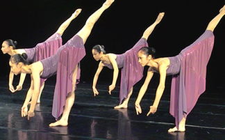 舞蹈表演专业学校,舞蹈表演专业的学校