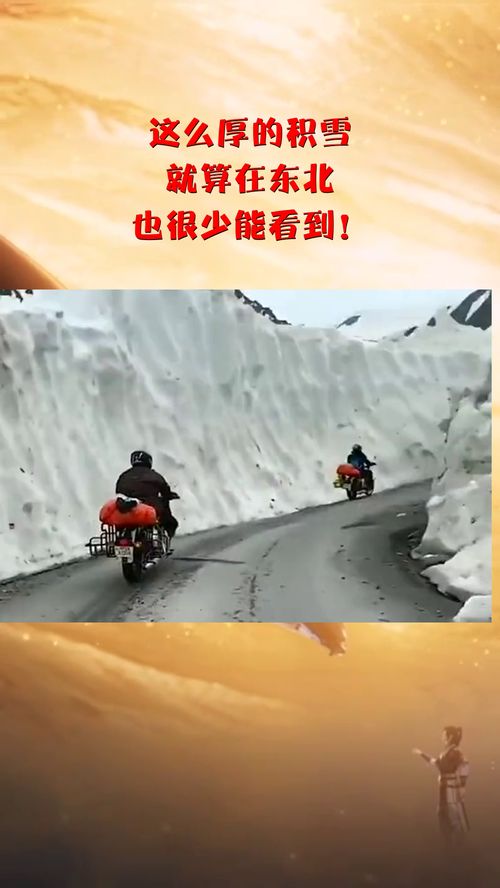 这么厚的积雪,就算在东北,也很少能看到 