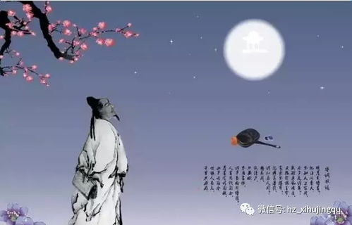 明月几时有把酒问青天是什么歌,王菲的一首歌：明月几时有，把酒问青天…歌名叫什么？-第2张图片