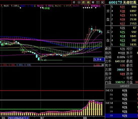 600175 美都控股，疯狂大牛股！！ 下午怎么走？