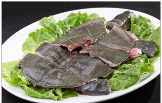 甲鱼的做法,甲鱼大餐：营养丰富的美食之