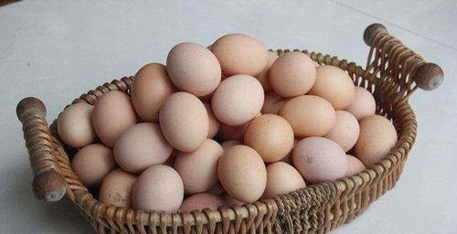 买鸡蛋时,别再随便挑了,学会这几点,买到的鸡蛋才更新鲜