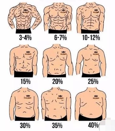 男性体脂率一览图 搜狗图片搜索