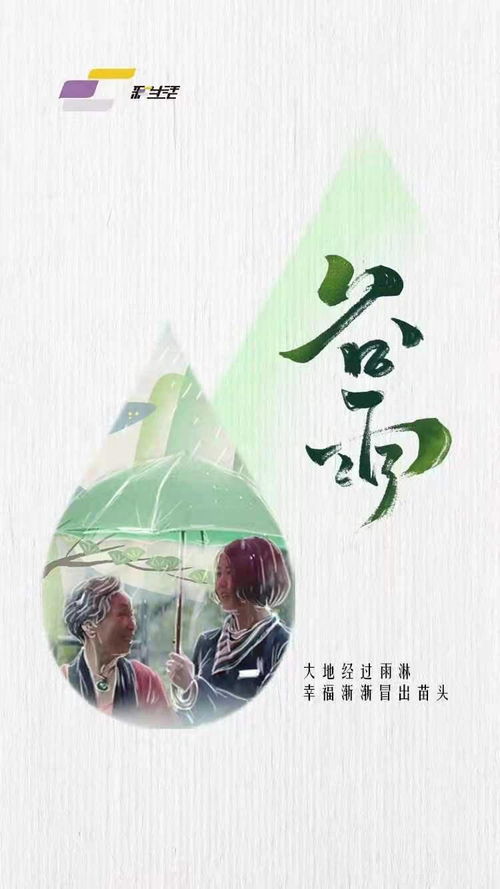 谷雨是哪家公司旗下