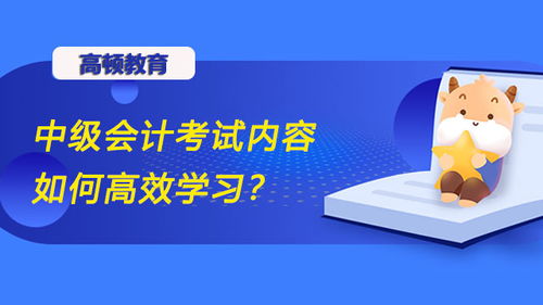  中级会计如何高效学习？秘籍大公开！