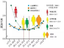 还在乱减肥吗 你的体重影响了你的寿命