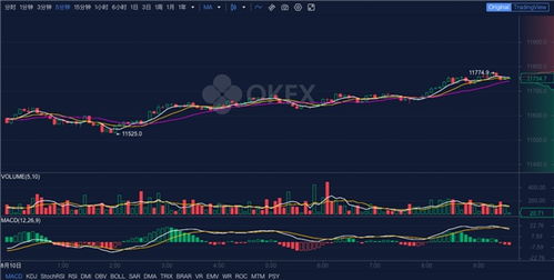  btc交易平台 排行,btc交易平台有哪些，谁能推荐个好用的？ 元宇宙