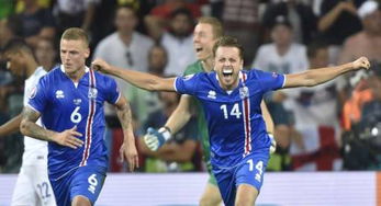 纪录片冰岛欧洲杯,欧洲杯法国VS冰岛都是强队啊。哪个有胜算？