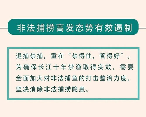 开局起步这一年③丨清了长江水,稳了渔民心,富了水中鱼