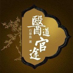 医道官途为什么下架了