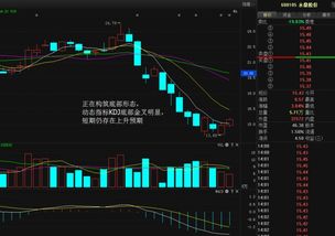 鑫鼎股票T+0所指的1：10杠杆投资是什么？什么叫杠杆式投资？