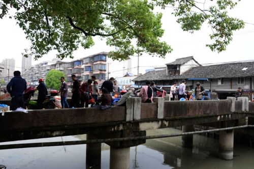 浙江宁波镇海骆驼街道