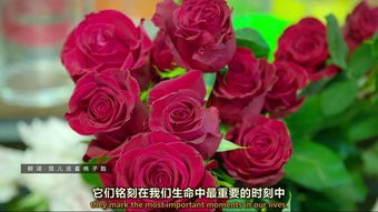 花市网送花怎么样,广州线上花市平台——让您在家享受鲜花美好