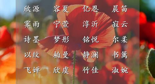 和风布暖,香径无尘的优雅女孩名字,且留一世芬芳