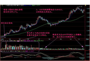 教授解析：为什么散户喜欢长得最慢股价偏高的大盘股