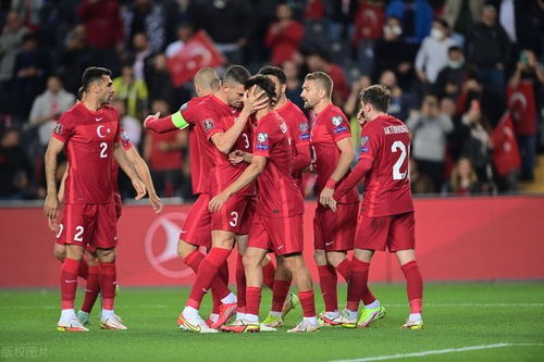 欧洲杯预选赛 赛程土耳其与拉脱维亚比赛结果,求凌晨世界杯欧洲区预选赛的所有比赛结果？