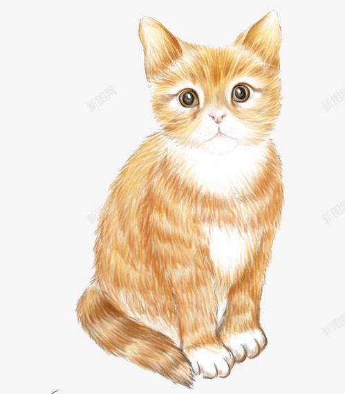 彩铅猫咪 创意素材 手绘猫咪素材 
