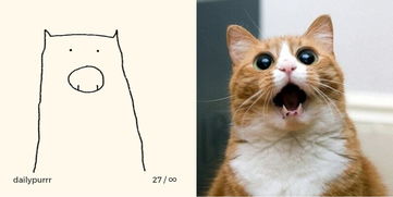 他每天画一幅猫,但只用一根线条,堪称喵星人的 灵魂画手 
