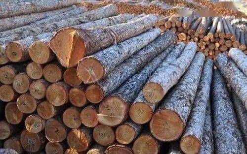 国外木材市场最新动态