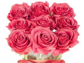十一朵玫瑰花语,1. 浪漫满屋—— 十一朵玫瑰花的无尽爱意