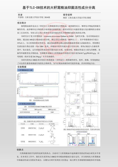 本科毕业设计附录代码查重，你了解多少？