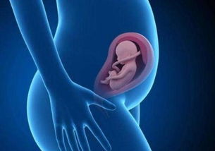 原创想了解胎儿的发育情况？其实身体这3个信号，“暗示”了孕妈妈！