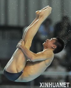 十米跳台跳水比赛视频,2012奥运会 跳水女子单人10米跳台预赛直播