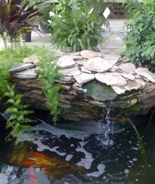 适合在后院里布置的14个水池瀑布创意,过上养鱼种花的生活