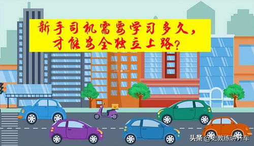 新手司机需要学习多久,才能安全独立上路