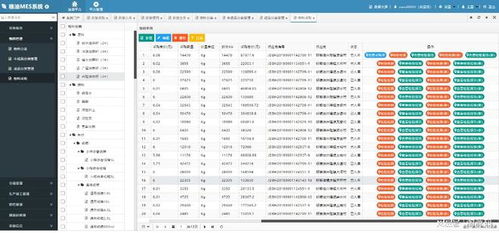 代码查重：提升代码质量的关键一步