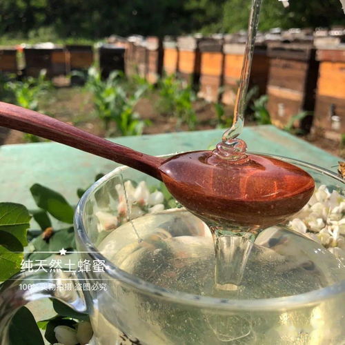洋槐蜜,中国四大名蜜之首 我国出口级别最高的蜂蜜