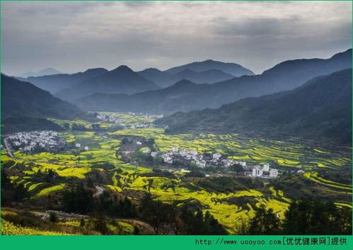 春天适合去哪里旅游 春天去哪里旅游好