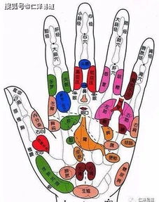 冷知识手指反映身体健康 手指看出身体的功能