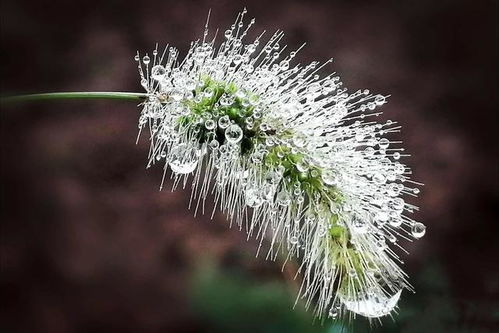 细雨轻轻敲我窗