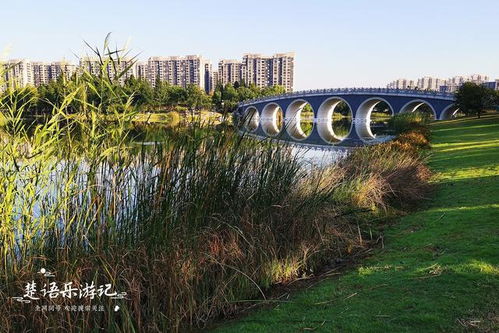 风光媲美玄武湖,南京这个湖景湿地公园风光秀丽,是绝佳的休闲地