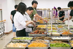 沈阳师联幼师学校食堂：美食的奥秘与温暖的回忆