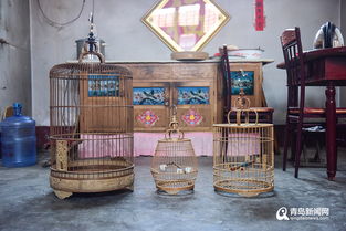 青岛有个鸟笼村 手艺延续500年 传承人梦里破难题