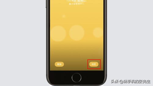 iphone主屏幕动态壁纸 苹果11怎么设置动态壁纸 这个简单 只需这样操作