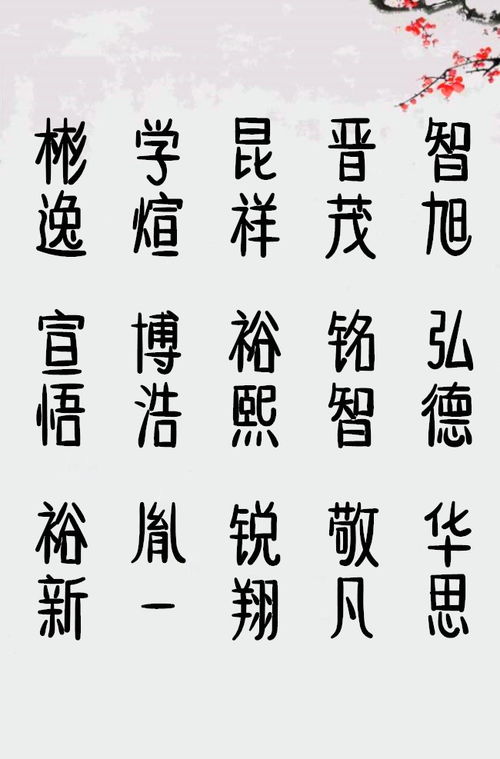 大将之风的男孩名字贾师傅起名改名