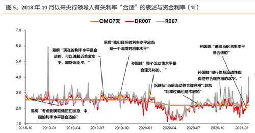 美出新高度是什么意思