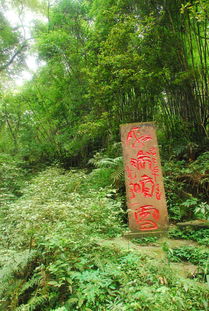 连尼姑都美若天仙的峨眉山 用心攻略