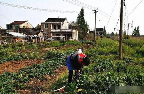 农村的宅基地和自留地属集体土地,为什么村民会说土地是他家的 很简单