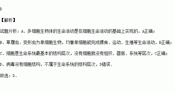 下列关于细胞与生命活动关系的描述不正确的是 A.多细胞生物体的生命活动是在细胞生命活动的基础上实现的B.草履虫.变形虫等均能完成摄食.运动.生殖等生命活动C.没有细胞就没有组织 