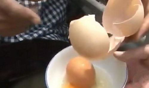 母鸡下了一个比正常鸡蛋要大两倍的蛋,当打开那个蛋时,所有人都看懵了
