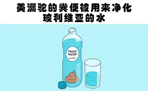 关于玻利维亚的29个冷知识,您知道几个 开放贫穷的国度