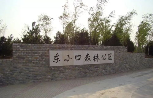 北京昌平免费公园有哪些好玩的地方(北京昌平东小口免费停车场)