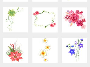 手绘唯美花卉树叶植物边框PNG免扣素材图片 模板下载 98.72MB 花卉大全 自然 