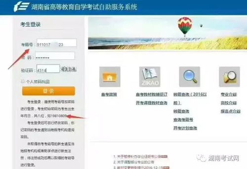 湖南自考网个人登录 湖南自学考试个人空间怎么登录