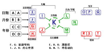 为什么受伤的总是我 是宝宝错了吗 解密生命数字,揭开情感面纱